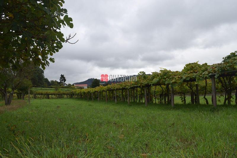 Foto 23a01663-aac9-414f-84ea-ff2520de1d36. Terreno residenziale in Vedra