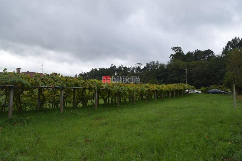 Foto 612e5119-3f73-4c51-be43-533569d63253. Terreno residenziale in Vedra