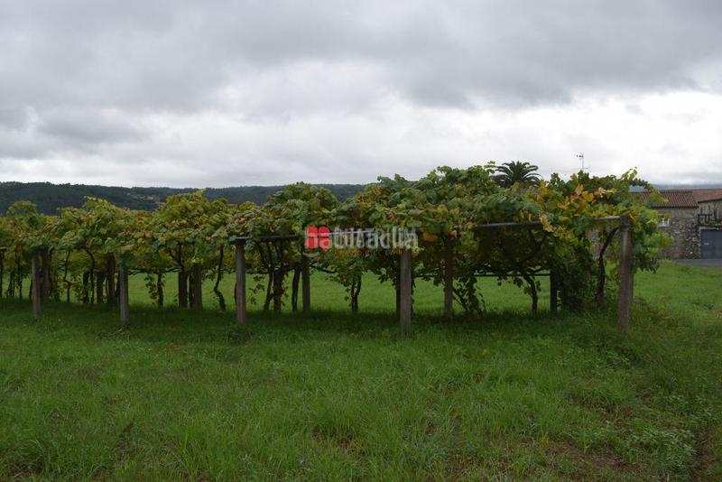 Foto 96279734-8622-407e-9561-6f635dc4d275. Terreno residenziale in Vedra