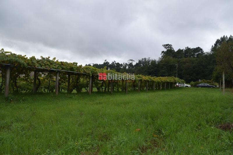 Foto dca296b1-9027-4e10-b8b1-6498c16bb900. Terreno residenziale in Vedra