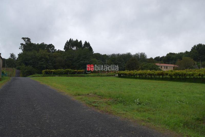 Foto e84bdb5b-3858-447d-bcd8-b63a55196c31. Terreno residenziale in Vedra