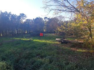 Terreny residencial  Rúa argimiro gonzález neira. Se vende finca en sarandón do sar, vedra con 2 galpones ya const