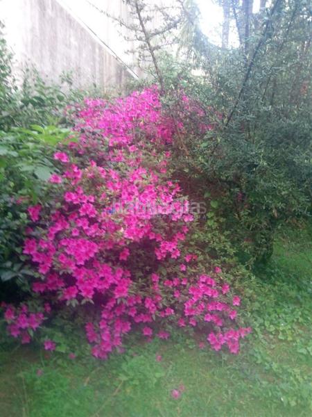 Foto 6e08cedc-e636-4d57-8651-eb3029e1b2bf. Bauernhof mit heizung parking in Plaza de la industria Vigo