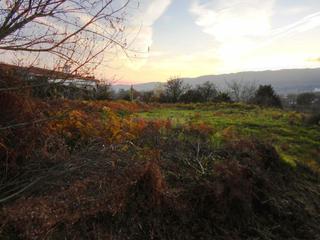 Residential Plot in Tomiño