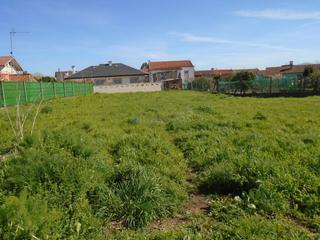 Residential Plot in Guarda (A)