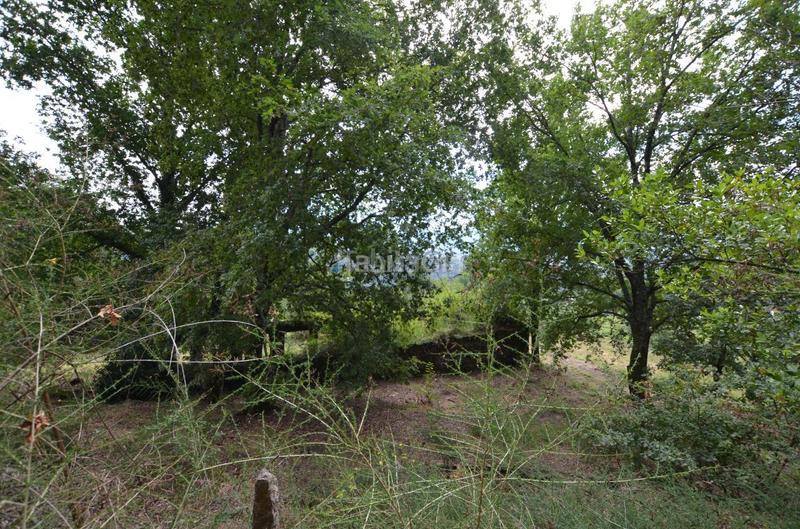 Foto 5324d6f1-bdda-413b-bd16-7bf896bf353a. Terreno residencial en Arbo