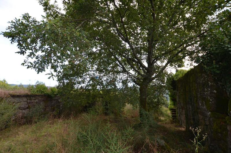 Foto a61f2892-dfe3-4e8f-a7c3-bbb539e7203e. Terreno residencial en Arbo