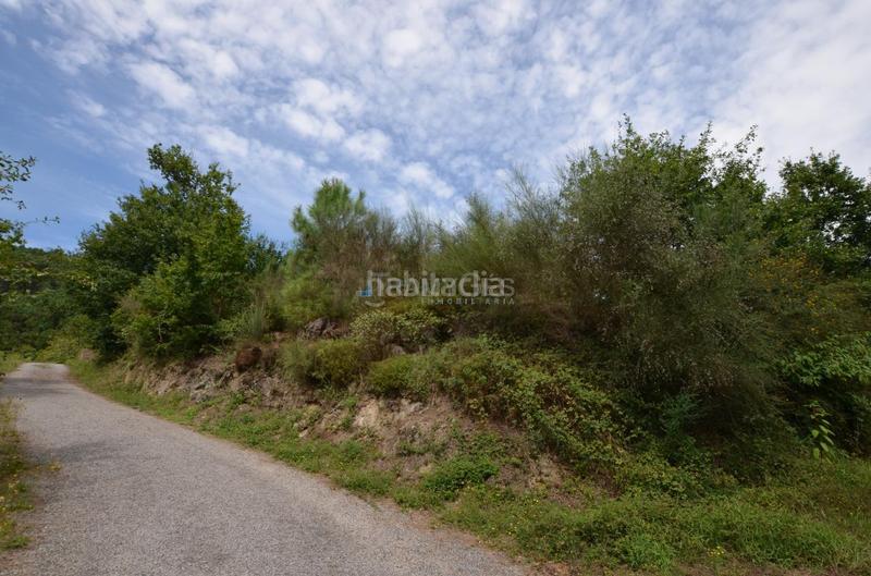 Foto cfddfcd5-0828-40e9-9612-5b4db03335c5. Terreno residencial en Arbo