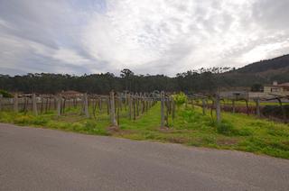 Terreny residencial a Tui