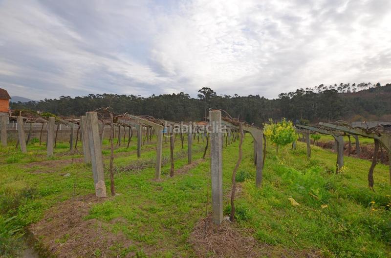 Foto 34121edf-a9c5-49a8-9c75-d86caaf33c7a. Residential plot in Tui