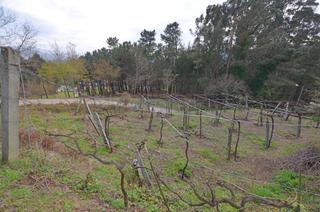 Wohngrundstück in Tomiño