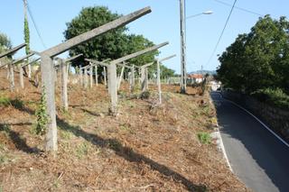 Terrain résidentiel à Gondomar