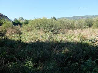 Residential Plot in Tomiño