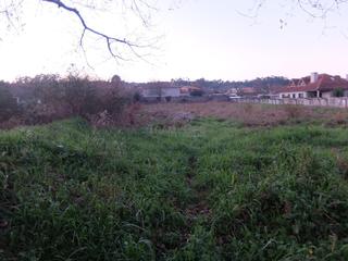 Terrain résidentiel à Tomiño