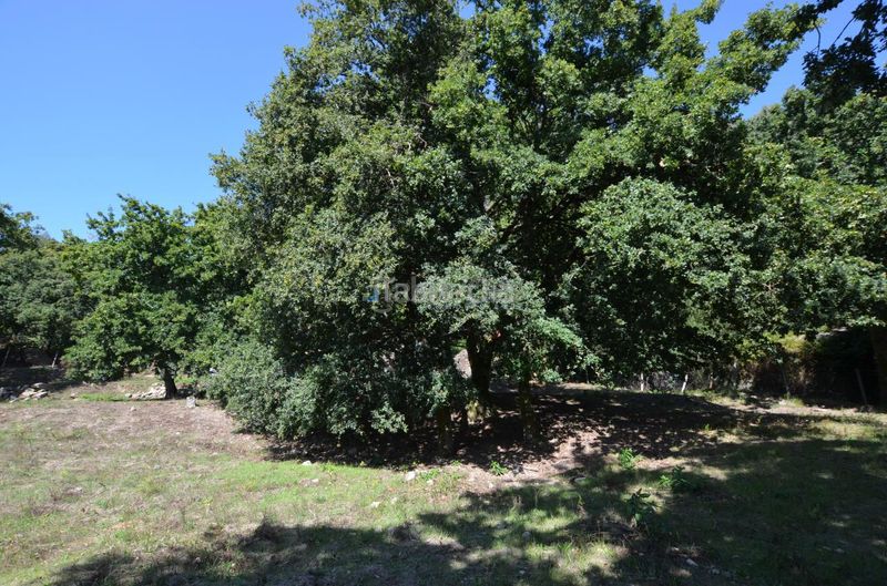 Foto b316acd4-4181-4c8b-a2aa-4f564c351b32. Casa a Tomiño