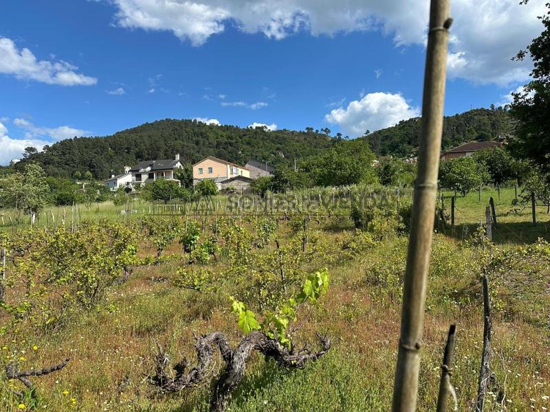 Foto 4aceb2cf-637f-4ce9-8889-74e9a909f9c1. Haus mit parking in As Lagoas Ourense