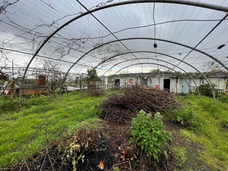 Foto 103bfe73-5c08-471b-8c93-a91e27753c12. Haus mit heizung parking pool in Coles