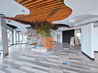 Business premise in N/A 14