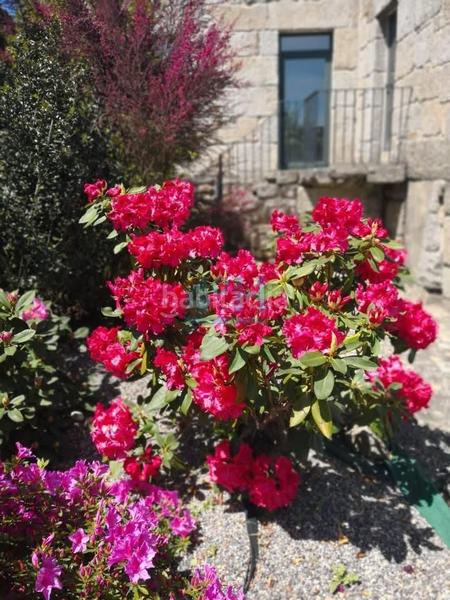 Foto 239adf3c-d0a9-4b29-9e13-91f9654766b8. Casale con riscaldamento in Beade