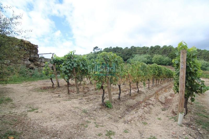 Foto 5a651d1f-63f5-43a4-a3d9-ab6ccebe0574. Casale con riscaldamento in Beade