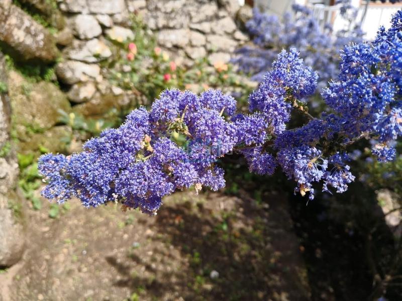 Foto 748d43cc-ac97-4a43-9586-dc6ec7ac7795. Casale con riscaldamento in Beade