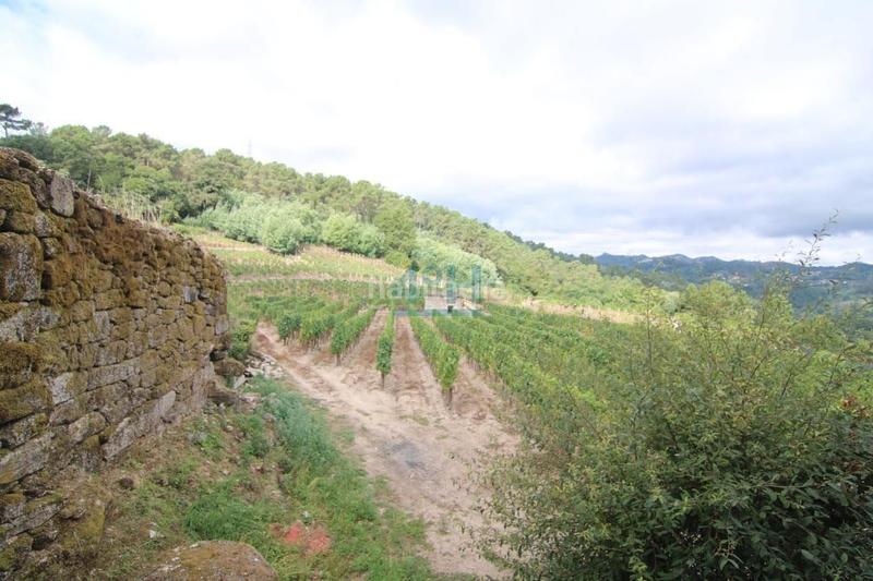 Foto 7664703c-b4c7-4bb5-9f00-38801e8c7d80. Casale con riscaldamento in Beade