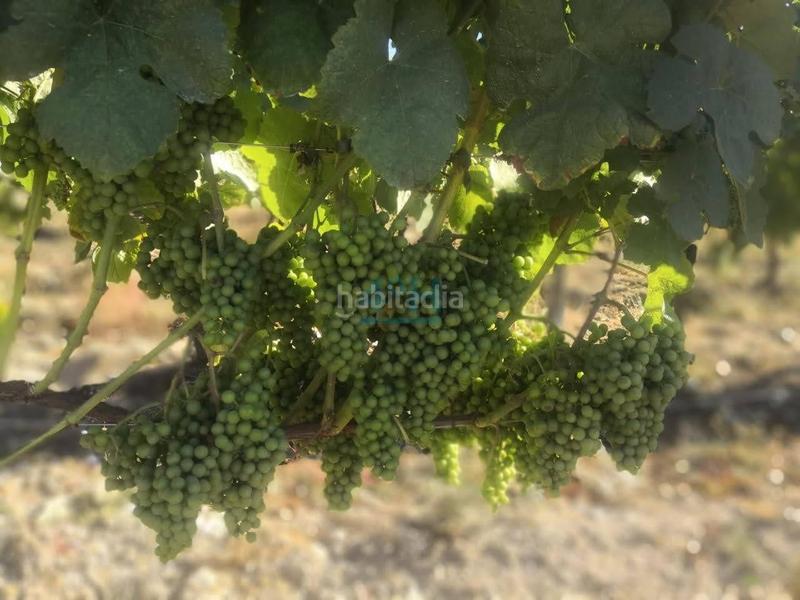 Foto c4911d4d-0ffa-4008-b363-dfc32a2f531f. Casale con riscaldamento in Beade