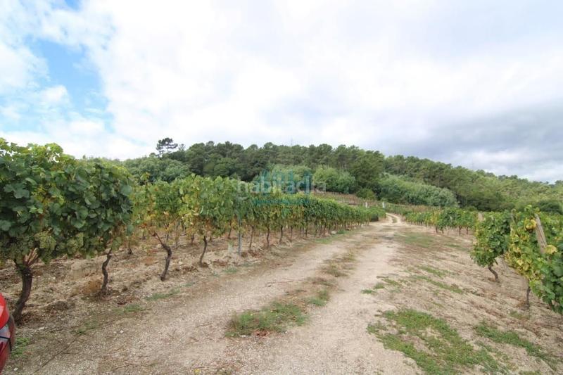 Foto ea8d6ba5-eed1-491b-804e-881c55d82f77. Casale con riscaldamento in Beade