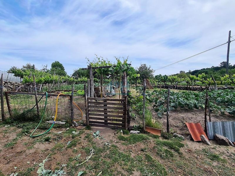 Foto ba73a883-5ae0-4dd3-83e9-80431a0610f5. Casa a Amoeiro