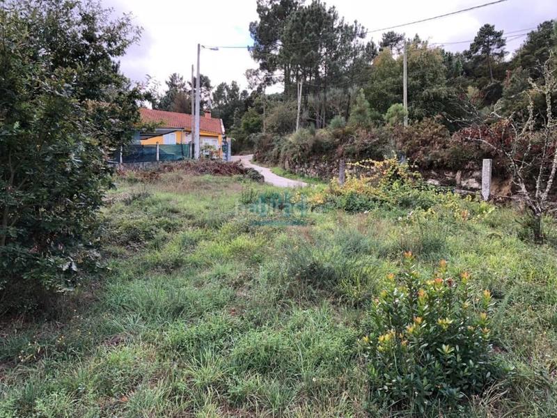 Foto 3feeceb3-9ec0-4754-9747-eb66bc2744b6. Wohngrundstück in Piñor