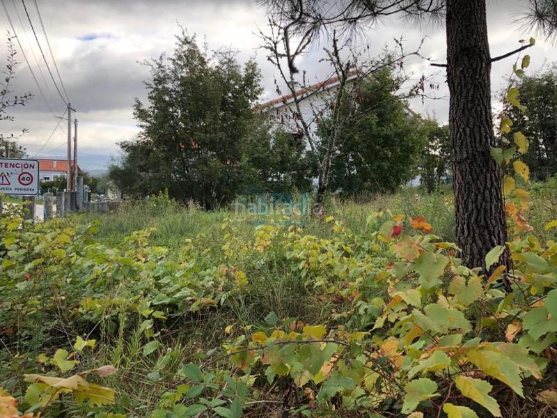 Foto c5ce0db5-9b70-4e4c-8a95-bf251a6d4f4e. Wohngrundstück in Piñor