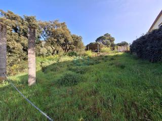 Terreny residencial a Pereiro de Aguiar (O)