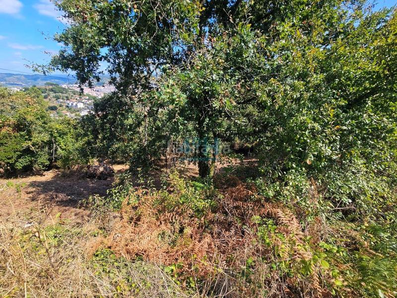 Foto dbbd27bc-3f60-4338-952c-3c75602615a7. Terreno residenziale in Barbadás