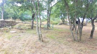Terreno residenziale in Allariz