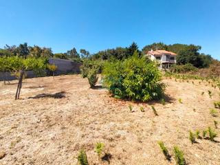 Terreny residencial a Coles
