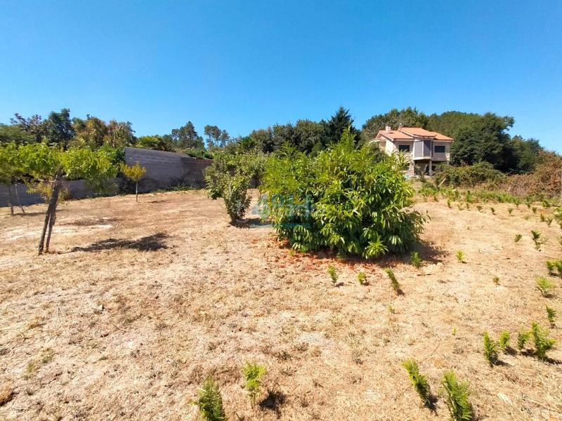 Foto 288274c5-2b7b-4519-98f4-9069be62bf56. Terreno residencial en Coles