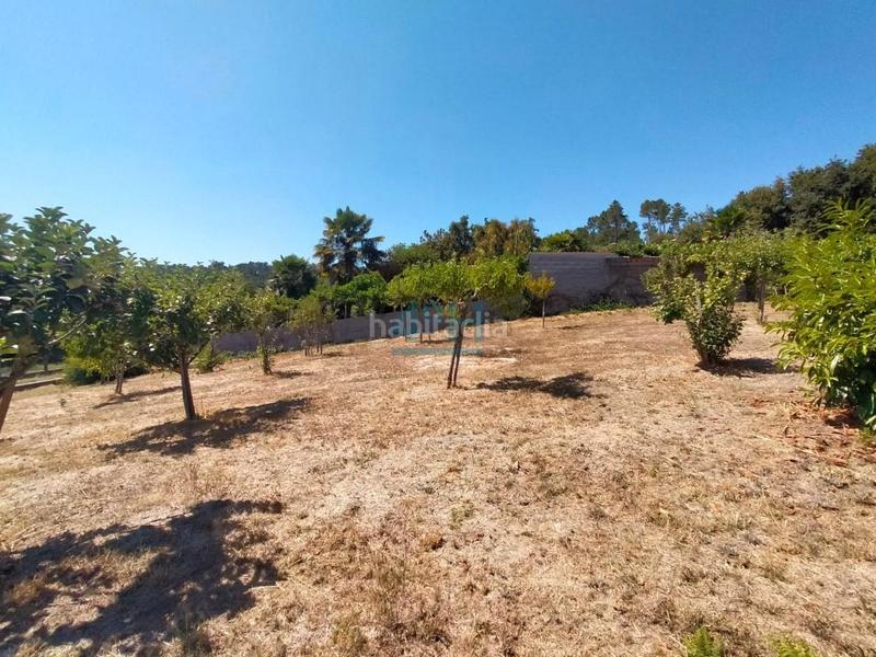 Foto 5ca4aa5f-5a25-452d-9814-824bb4067db7. Terreno residencial en Coles