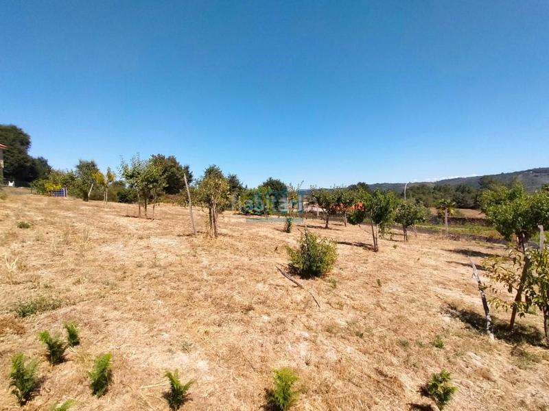 Foto ab3e8718-85af-4dc3-b768-7968c4e78a69. Terreno residencial en Coles