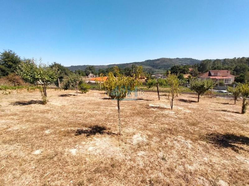 Foto fb6b240c-1f4b-4230-8e9a-5c4299422487. Terreno residencial en Coles