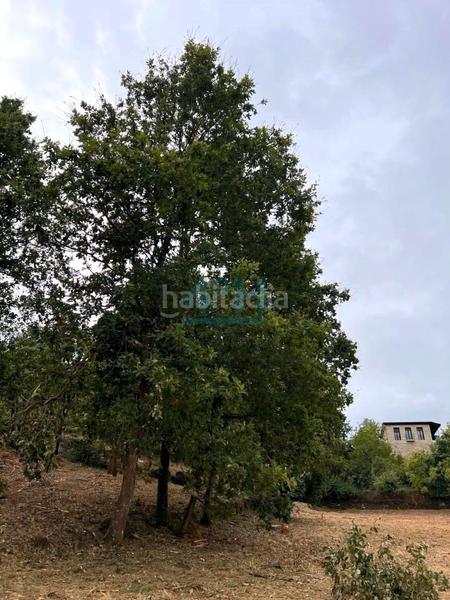 Foto 740ef9eb-ea58-4771-96d3-a1f97de4ac1d. Terreny residencial a Barbadás