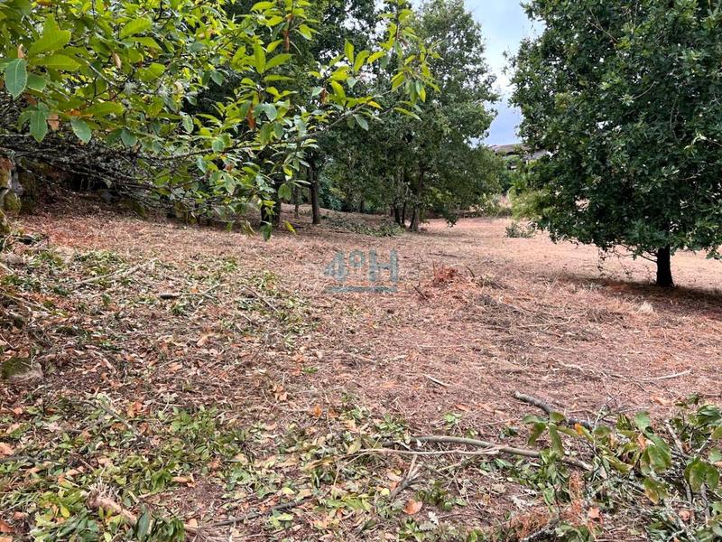 Foto a83dda76-0233-4122-a22b-cc1ae96adb06. Terreny residencial a Barbadás