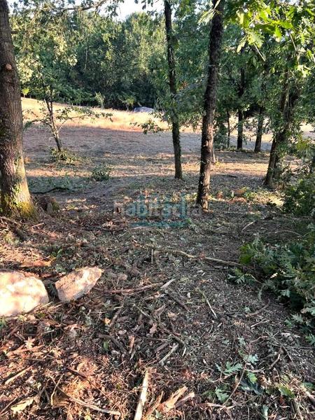 Foto d15b79bf-1cb3-42f3-beb5-ef2a2f4b5446. Terreny residencial a Barbadás