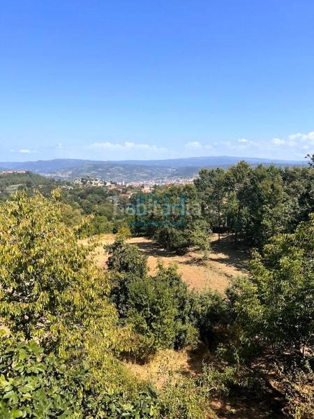 Foto ef2a5391-19c2-40f9-881b-8bacce8d1d9b. Terreny residencial a Barbadás