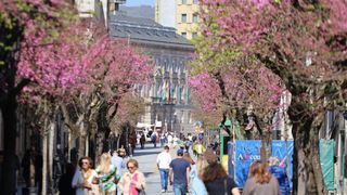 Transfer Business premise in Centro