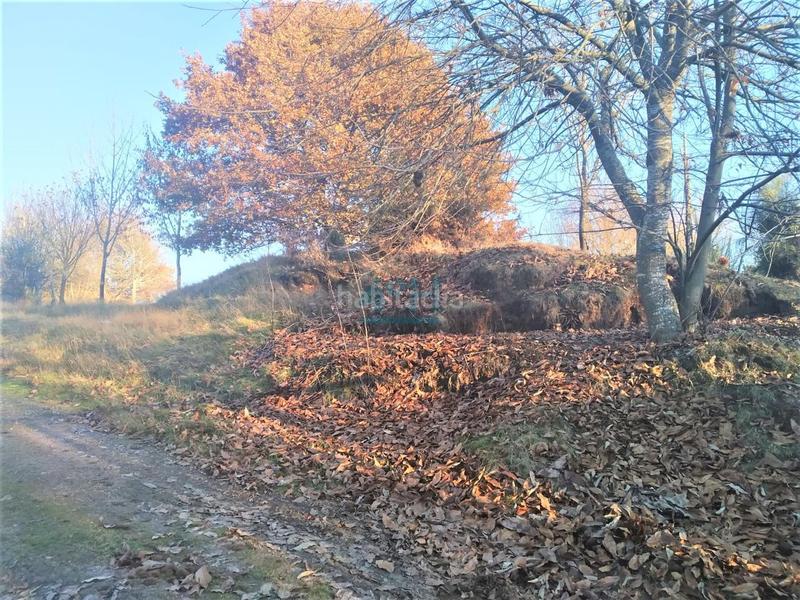 Foto 8c887abb-126d-40e1-a093-c0ea4f3b1e6c. Terreno residenziale in San Cibrao das Viñas