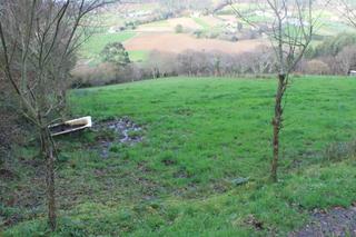 Rural plot in Dp-1915 25