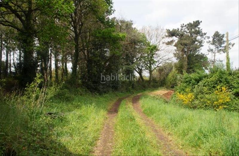 Foto 3f08aa0c-41f5-4770-9b12-76b9dcb82765. Finca rústica a dp-4307 16 a Ponteceso