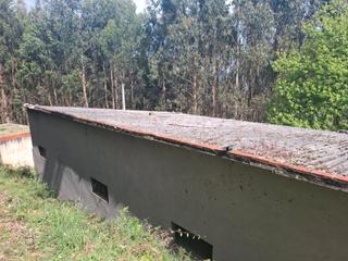 Local Comercial  Rúa paraíso. Nave con finca en viveiro