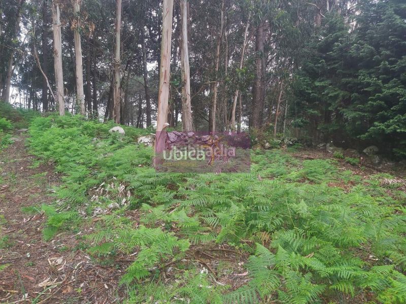 Foto 513a37c8-7e0b-4480-ac17-825fb3897fc5. Finca rústica a Oia