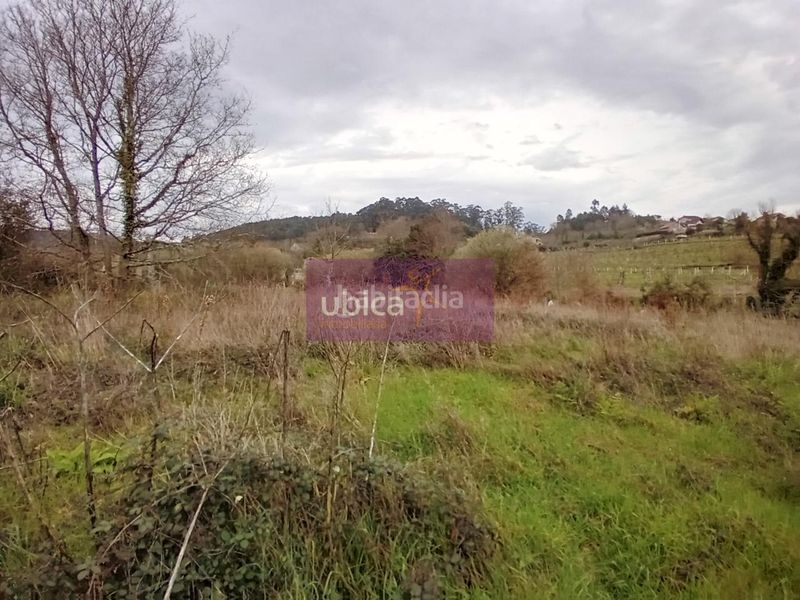 Foto d61c80aa-dcd2-4fa8-b7b9-6410a997dc86. Terreno residencial en Salceda de Caselas